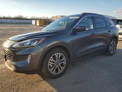 Salvage cars for sale at Fresno, CA auction: 2020 Ford Escape SEL