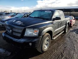 Salvage cars for sale from Copart Brighton, CO: 2010 Dodge Dakota SXT