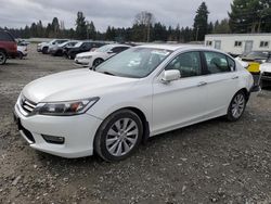 Salvage cars for sale at Graham, WA auction: 2013 Honda Accord EXL