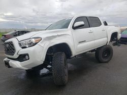 Salvage cars for sale from Copart Sacramento, CA: 2023 Toyota Tacoma Double Cab
