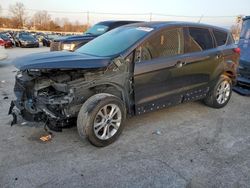 Salvage cars for sale from Copart Lawrenceburg, KY: 2019 Ford Escape SE