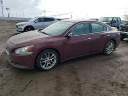 Salvage cars for sale from Copart Greenwood, NE: 2011 Nissan Maxima S