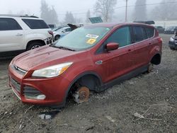 Salvage cars for sale at Graham, WA auction: 2014 Ford Escape SE