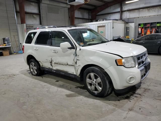 2010 Ford Escape Limited