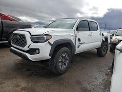 Salvage cars for sale at Tucson, AZ auction: 2023 Toyota Tacoma Double Cab