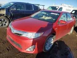 Salvage cars for sale at Brighton, CO auction: 2012 Toyota Camry Hybrid