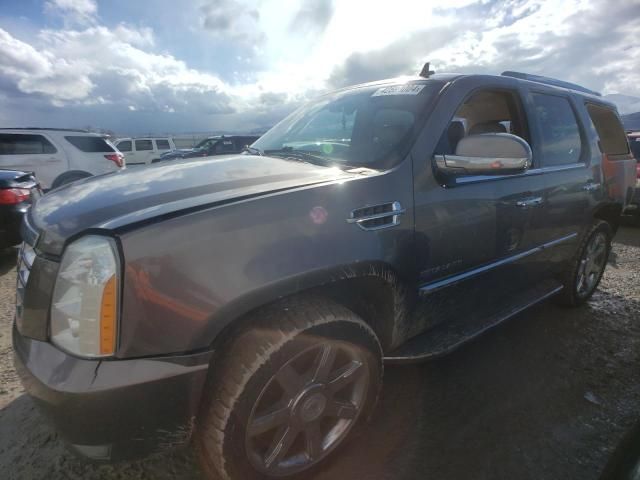 2012 Cadillac Escalade Luxury