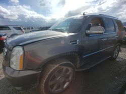 Salvage cars for sale at Magna, UT auction: 2012 Cadillac Escalade Luxury