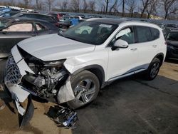 Salvage cars for sale at Bridgeton, MO auction: 2022 Hyundai Santa FE SEL