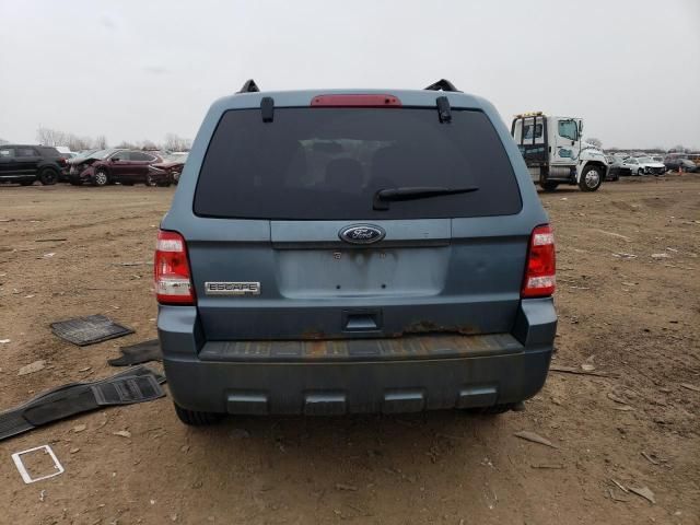 2010 Ford Escape XLT