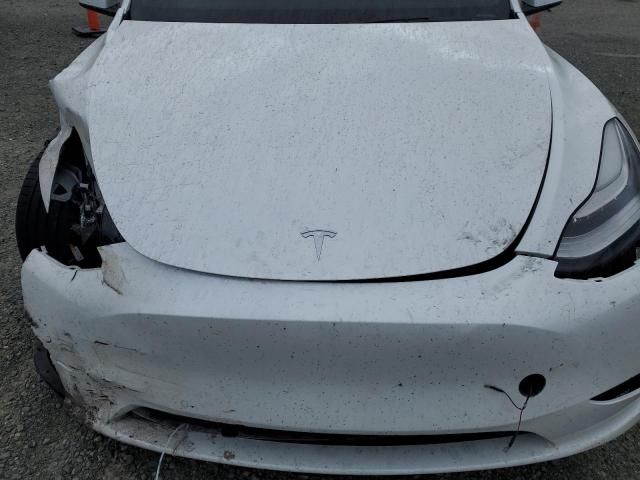 2020 Tesla Model Y