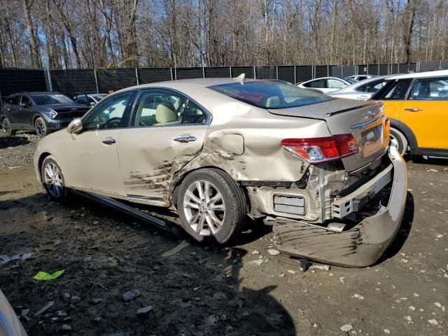 2011 Lexus ES 350