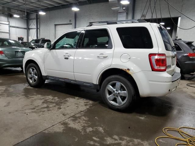 2011 Ford Escape Limited