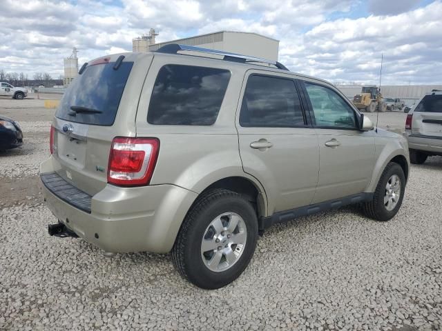 2012 Ford Escape Limited