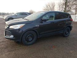 Salvage cars for sale at London, ON auction: 2014 Ford Escape SE