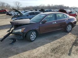 Honda salvage cars for sale: 2010 Honda Accord EXL