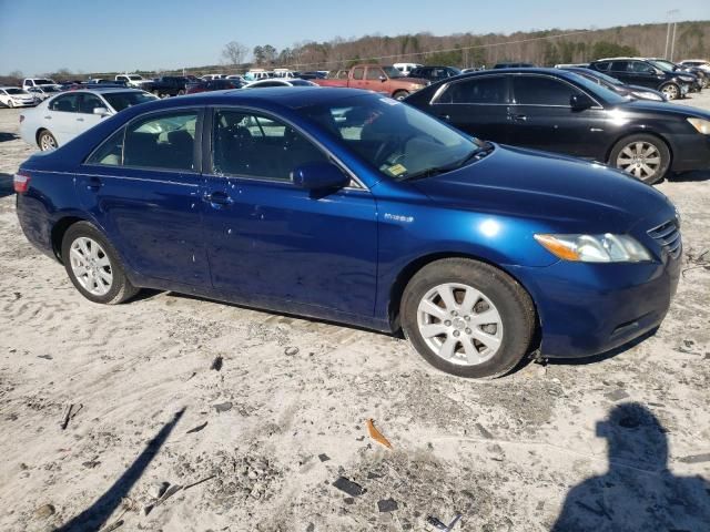 2008 Toyota Camry Hybrid