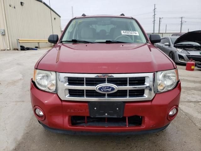 2011 Ford Escape XLT