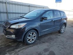 Salvage cars for sale at Fort Wayne, IN auction: 2013 Ford Escape SEL