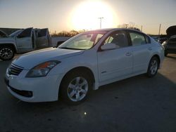Nissan salvage cars for sale: 2009 Nissan Altima Hybrid