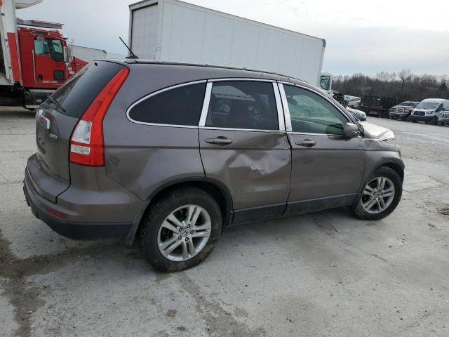 2010 Honda CR-V EXL