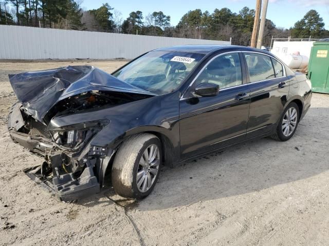 2011 Honda Accord EXL