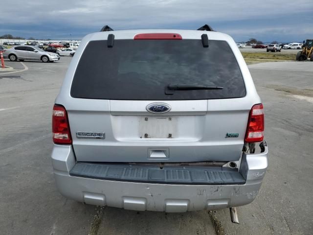 2010 Ford Escape XLT