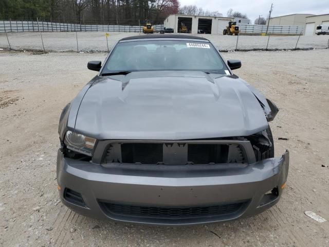 2010 Ford Mustang