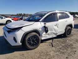 Salvage cars for sale from Copart Lumberton, NC: 2023 Toyota Rav4 XLE