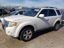 Salvage cars for sale from Copart Louisville, KY: 2012 Ford Escape Limited