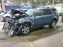 Salvage cars for sale at Woodhaven, MI auction: 2011 Ford Escape Limited