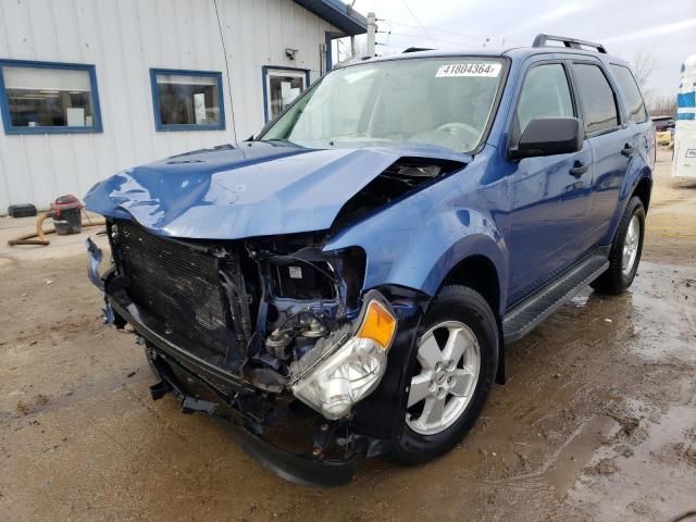 2010 Ford Escape XLT