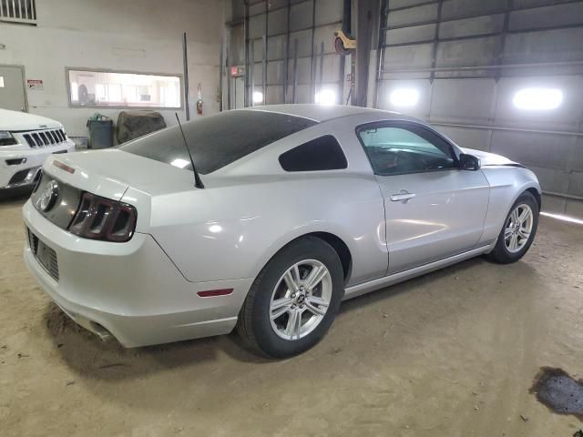 2013 Ford Mustang