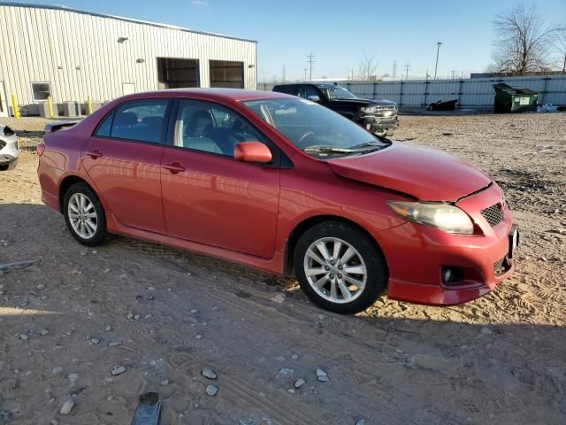 2010 Toyota Corolla Base