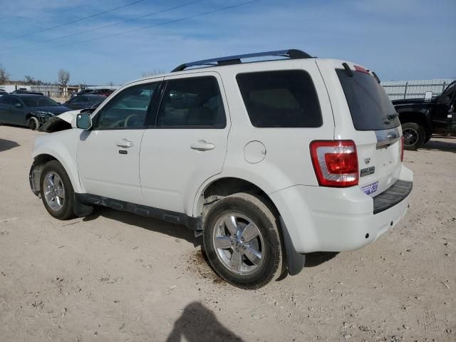 2011 Ford Escape Limited