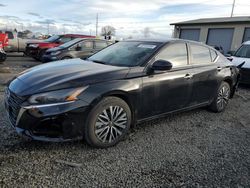 Salvage cars for sale at Eugene, OR auction: 2024 Nissan Altima SV