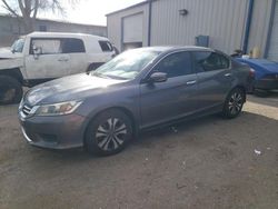 Salvage cars for sale from Copart Albuquerque, NM: 2015 Honda Accord LX