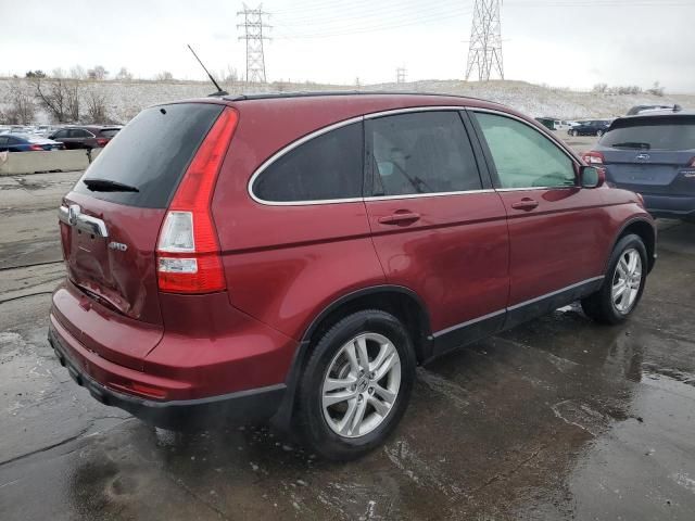 2010 Honda CR-V EXL