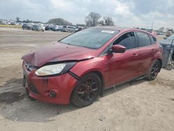 Ford Focus salvage cars for sale: 2013 Ford Focus SE