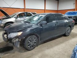 Salvage cars for sale at Rocky View County, AB auction: 2013 Toyota Corolla Base