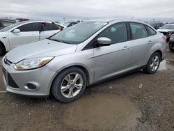 Ford Focus Vehiculos salvage en venta: 2013 Ford Focus SE