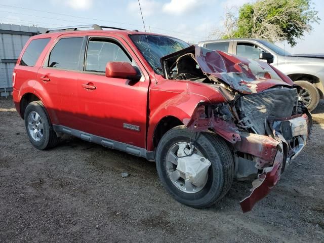 2010 Ford Escape Limited