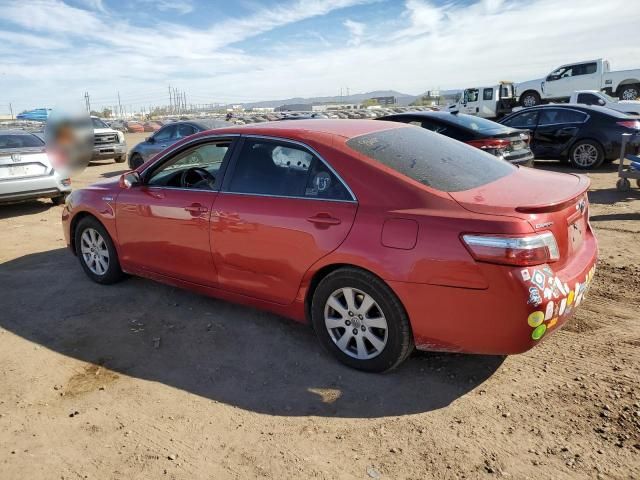 2009 Toyota Camry Hybrid