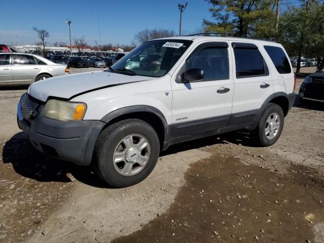 2002 Ford Escape XLT