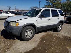 Salvage cars for sale at Lexington, KY auction: 2002 Ford Escape XLT