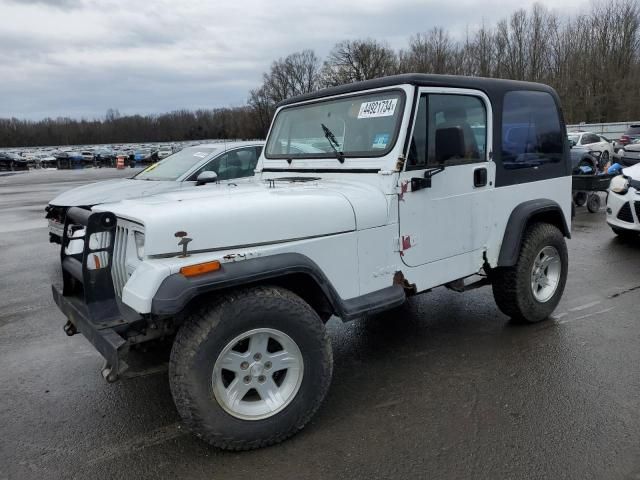 1993 Jeep Wrangler / YJ S