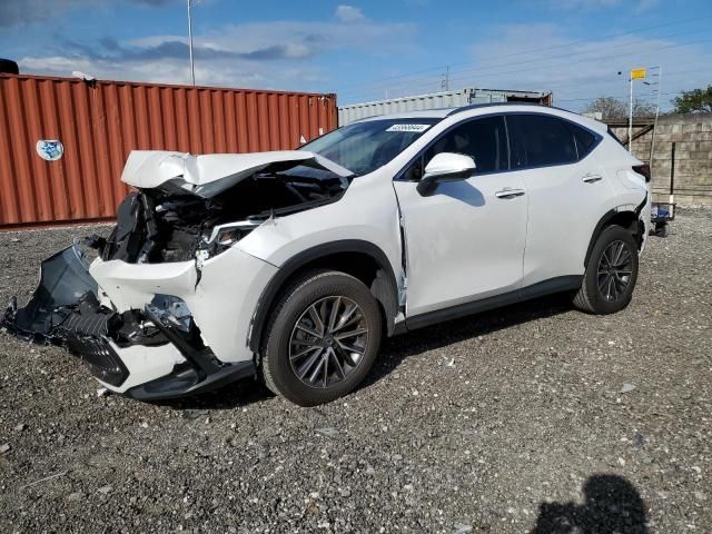 2024 Lexus NX 250 Premium