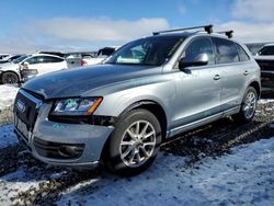 2011 Audi Q5 Premium for sale in Reno, NV