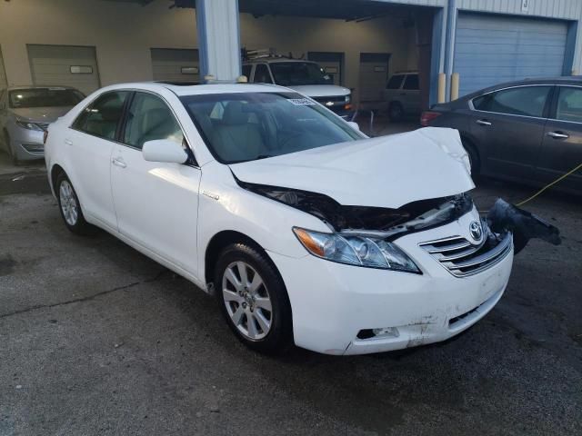 2009 Toyota Camry Hybrid