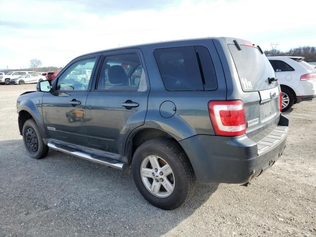 2008 Ford Escape HEV